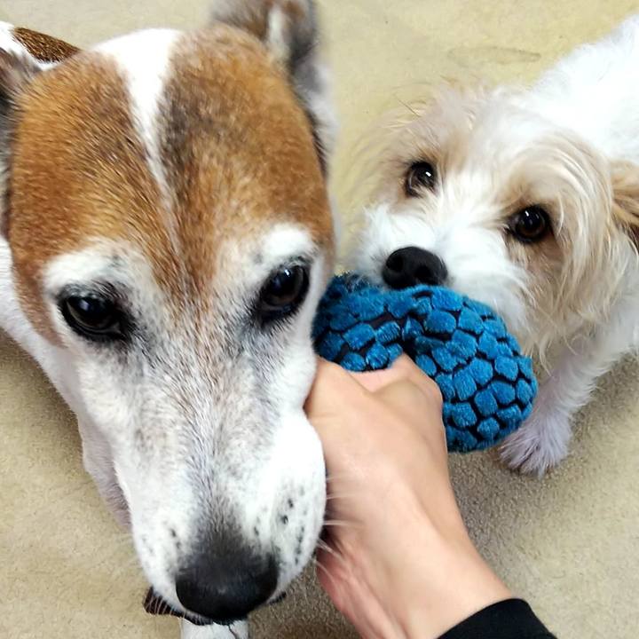 708f783e fbad 4fcc ac6b 407141026861 1529421900879