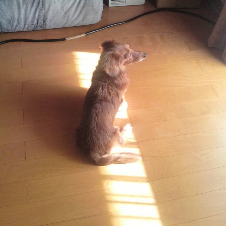 708f850c 5277 46f0 8116 efc2b46e3b48 1545072415087