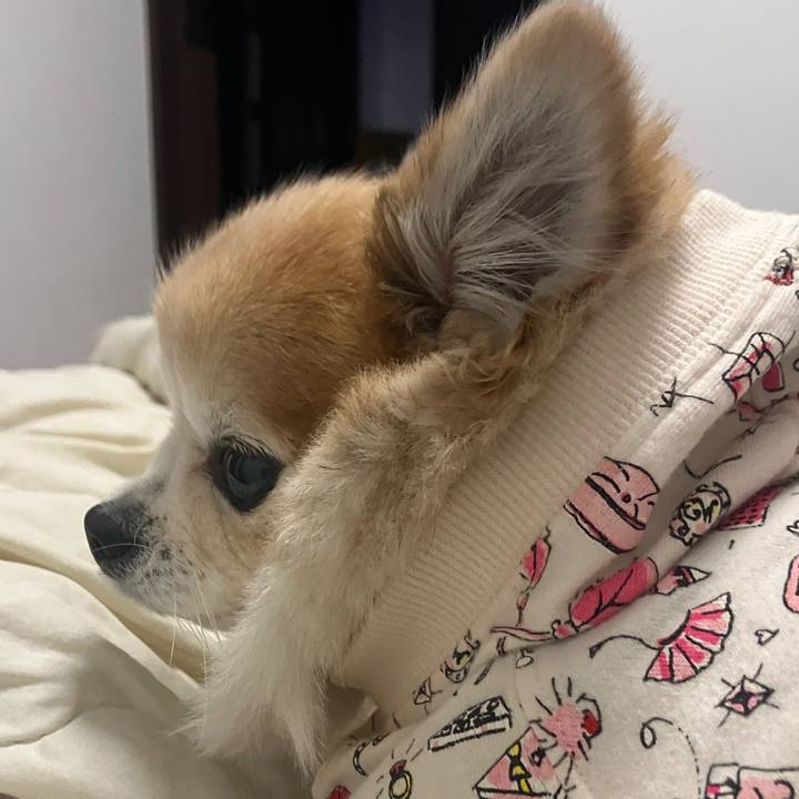 708fa2b2 95b7 4efa a73b 63c91355657e 1766751053661