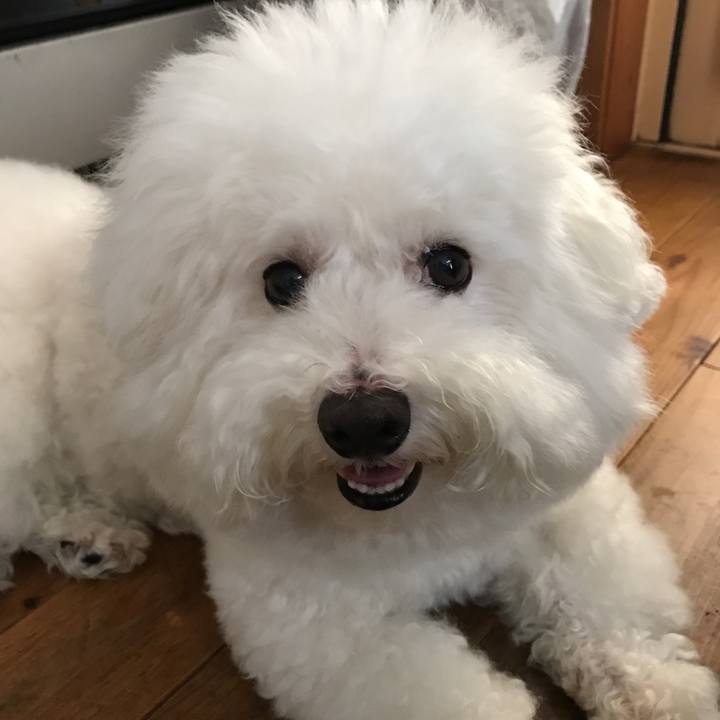 708fad77 974d 4221 9a33 f4a20a433175 1534289489639