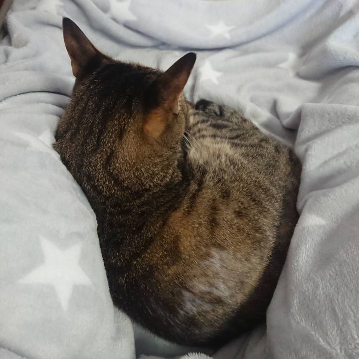 708fc9bb f41c 495c 9197 4959c5cf57f1 1571707028018