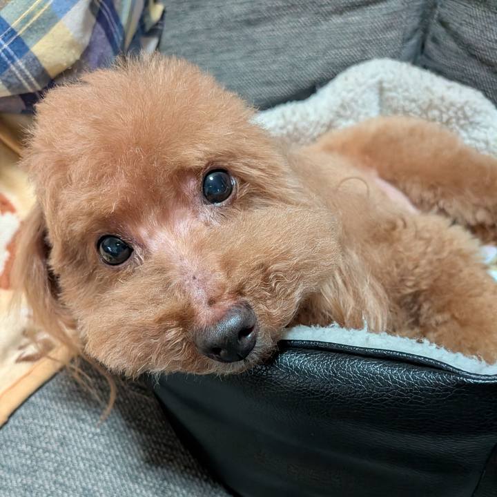 70900588 227a 4488 a22f 71b668af72ce 1773737632690