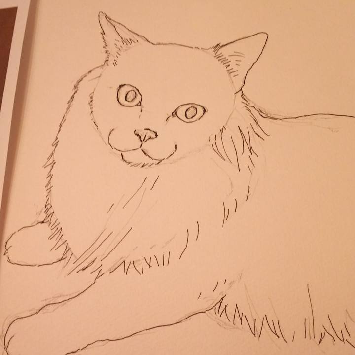 70900c6e 97dd 47da a6d5 51641a247c51 1535428988713