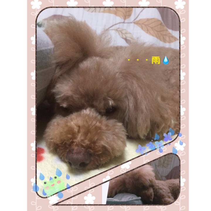 709041ec d6d8 46f5 86f3 85746256eba2 1536702532414