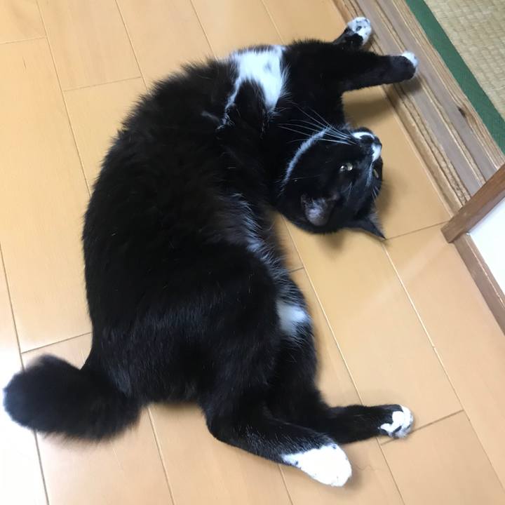 709084f3 70de 4ecb a02a 50bf5d2095de 1621308538398