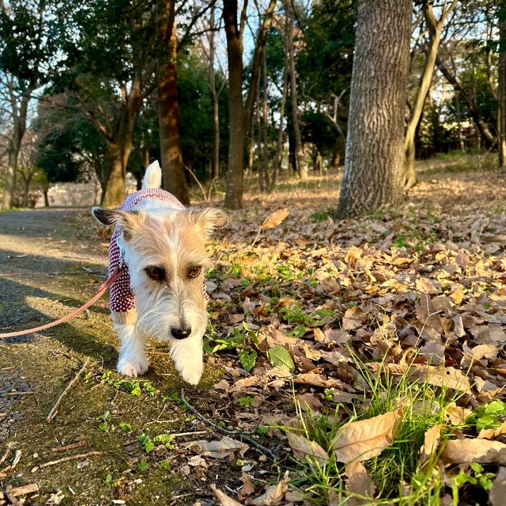 7090c278 277a 4614 afce 7e7dae77cf6d 1703077530422