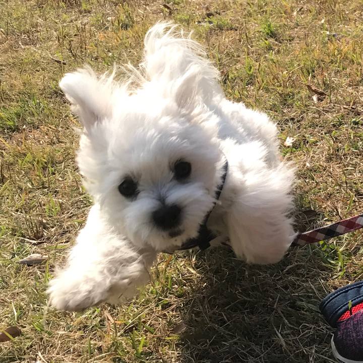 7090da13 54d8 4789 a464 d95eeb14ed3b 1543381738125