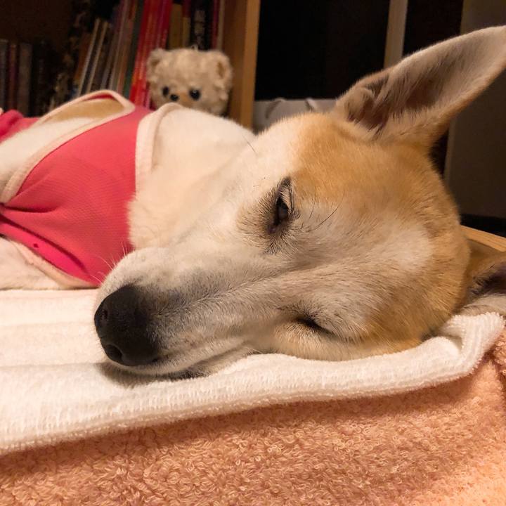 70911367 6f10 4bf8 8c10 043f43ba0c73 1592310524239