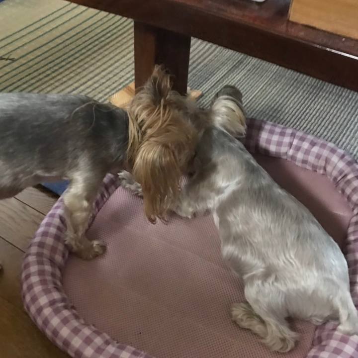 70914489 71c0 4015 b718 6bcd1bc27ee6 1565340789002