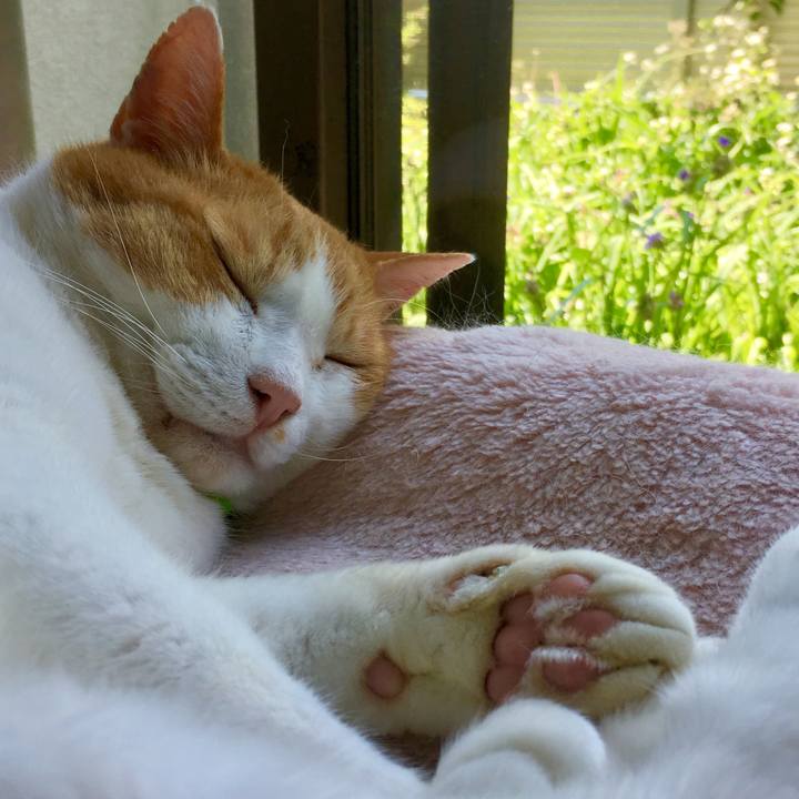 70915556 ea11 494a 8979 03729a0d63a9 1558925708758