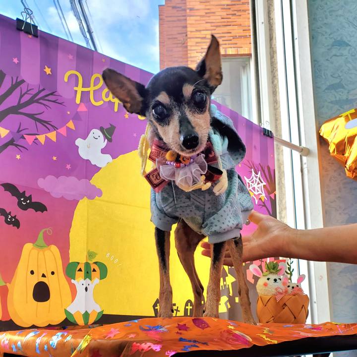 7091713d c434 4108 b6d7 04677ab643c0 1698573790367