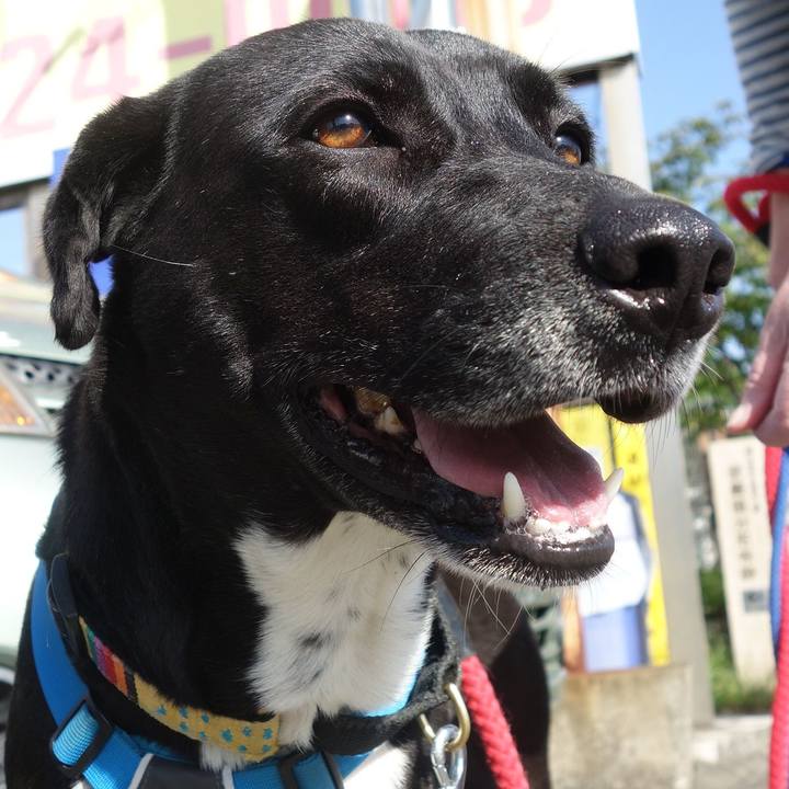 70917e6b 6a62 4965 a8f0 bd38f9c6869a 1619227250020