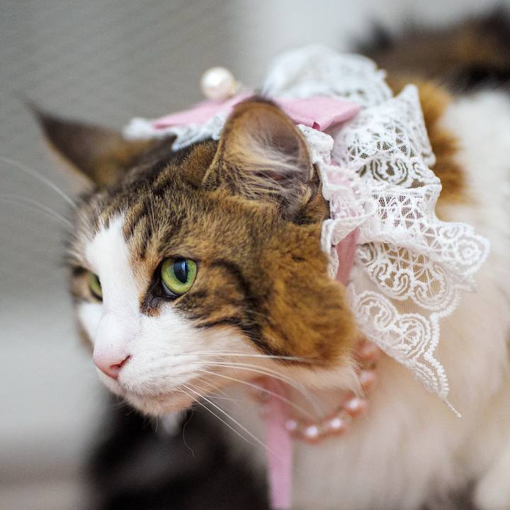 709196f7 0eea 4689 9791 540a0db65656 1742793501867