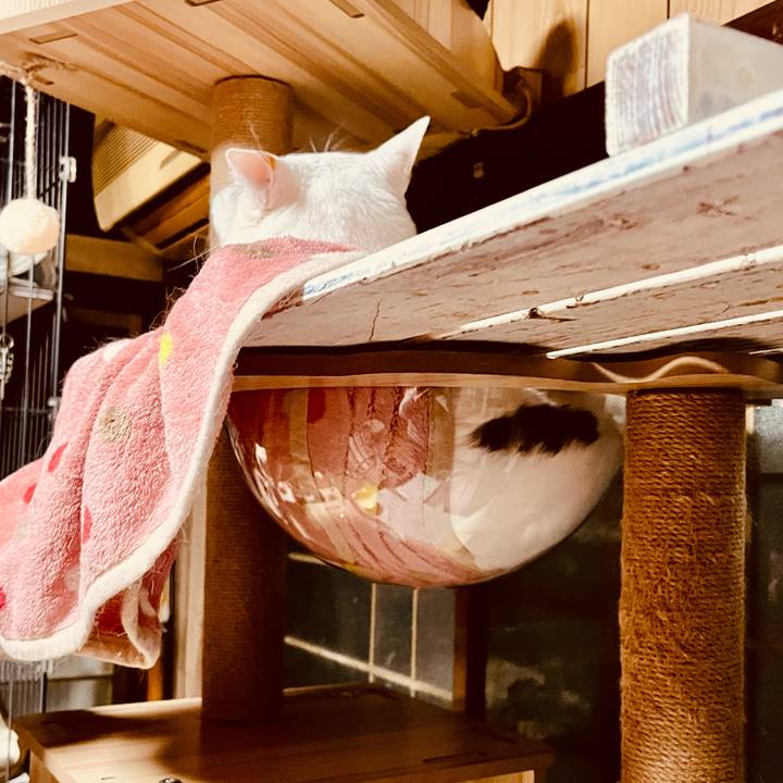 7091a022 3548 4d5e a152 2c8c020aa55a 1765661738748