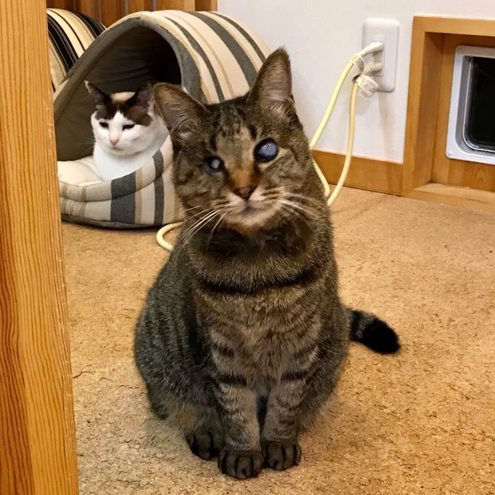 7091bc9d fc40 407d aadf 7c81118139cc 1615118044254