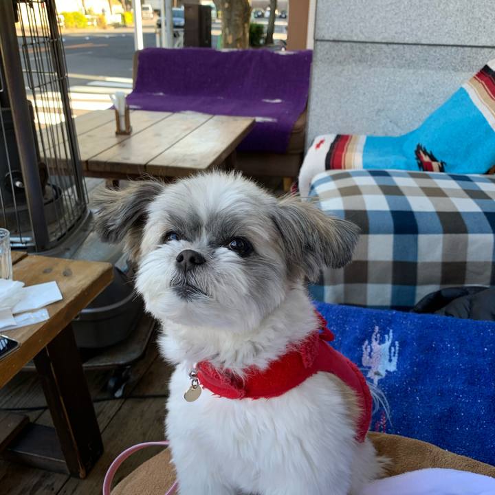 7091f509 b815 4e7f 9704 4d0ffeeac1e2 1581574549785