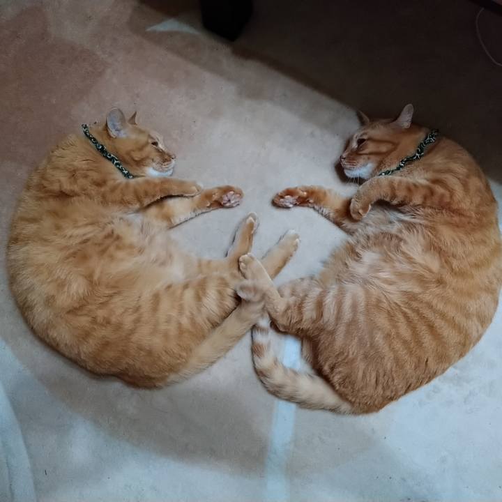 70920966 3ce7 47f2 9078 08716d232716 1605187851839