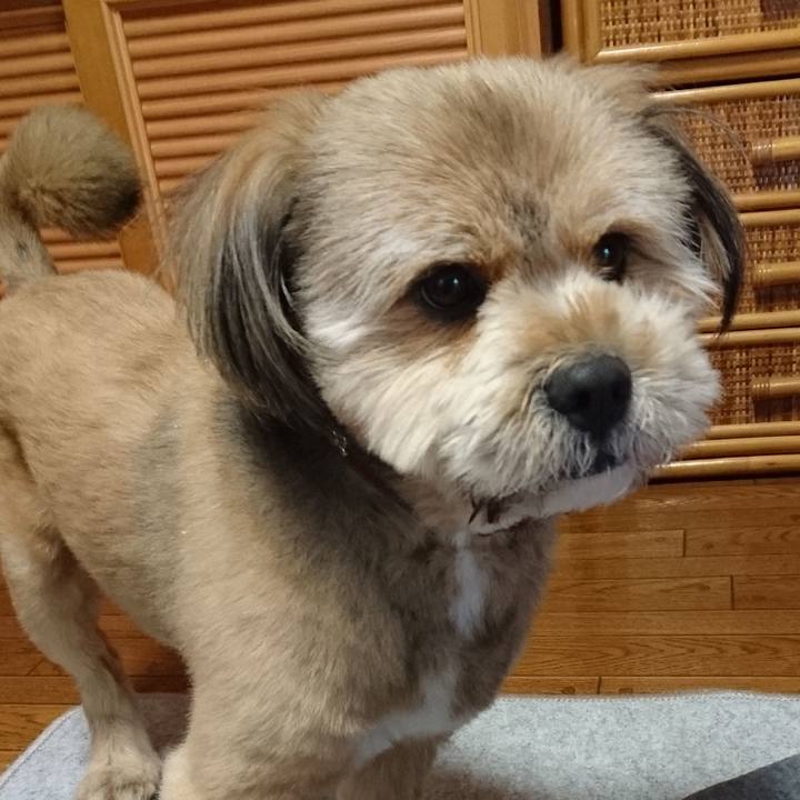 70922ea1 aa21 4011 8a29 be10fc614e03 1583750136241