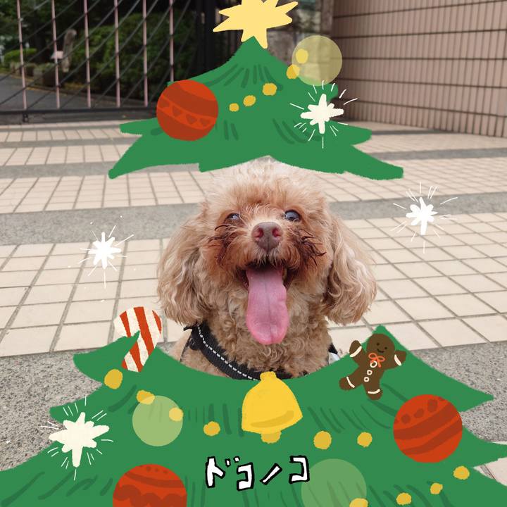 70926972 2a92 4444 a99b c0c52fd4b23e 1761476247542