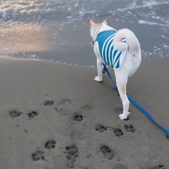 70929637 22b4 40c7 ad18 7af8de018dc7 1534087921199