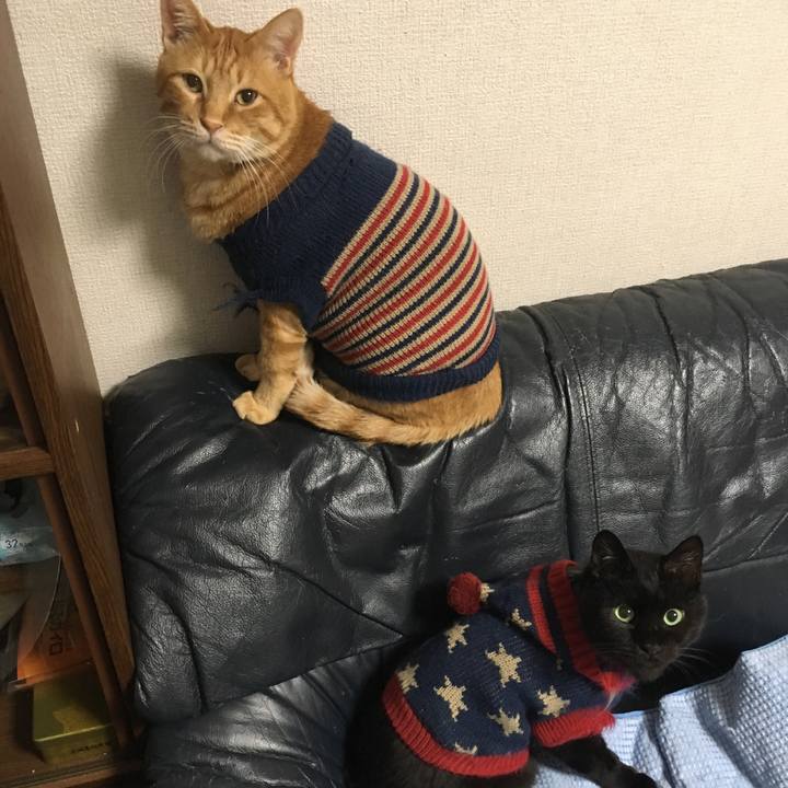 709296c3 6466 4551 9f2d fb5c466e1adf 1541594045082