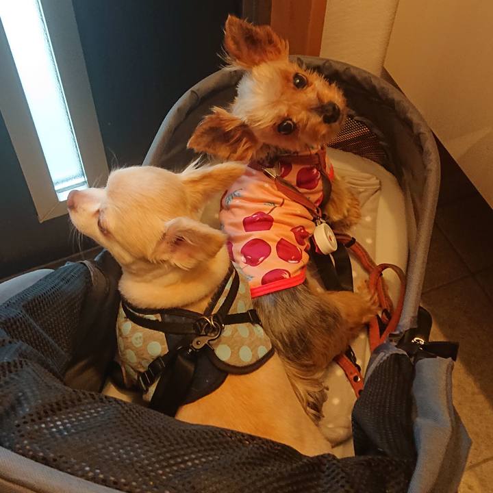 7092a580 3ade 4211 b199 ffff1e7f7b33 1563880461980