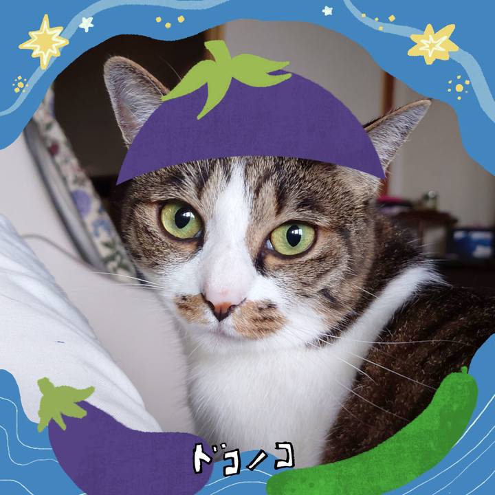 7092a87d a17c 4d16 a60a f15ba583ea8d 1755262330335