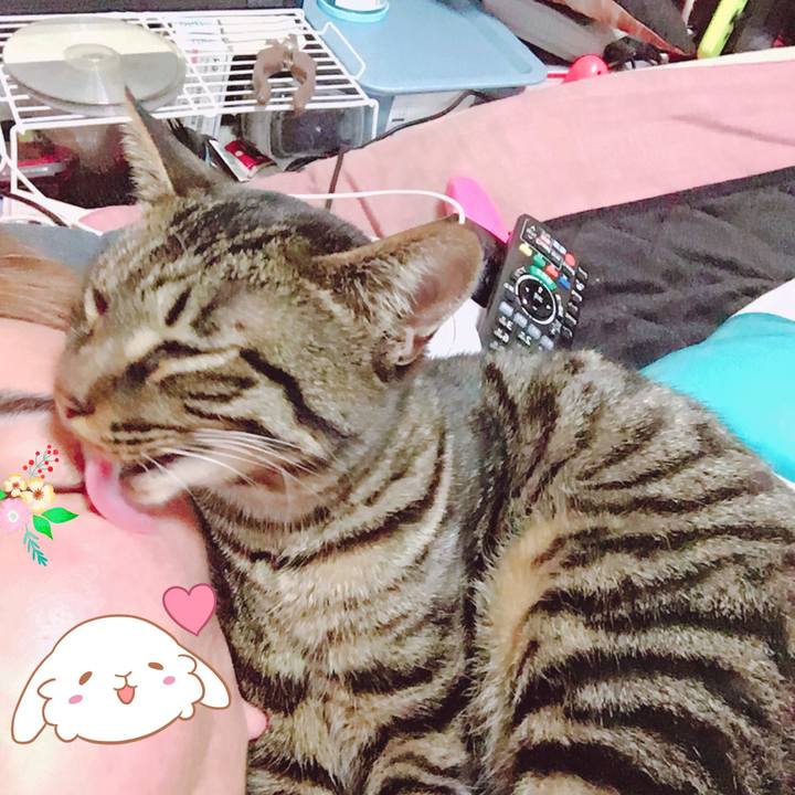 7092b07c 112a 45c6 8c20 86f85f19020f 1554939144171