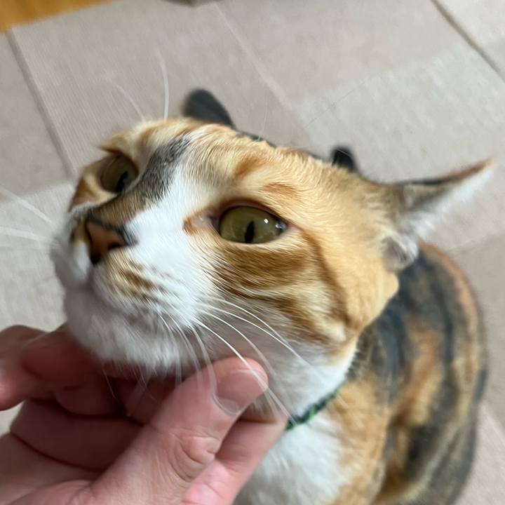 7092c8e2 6e8a 4e69 8936 ff0083456862 1748051934220