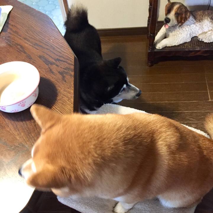 7092cf35 29ec 4070 9c41 2db17a97674b 1539344030203