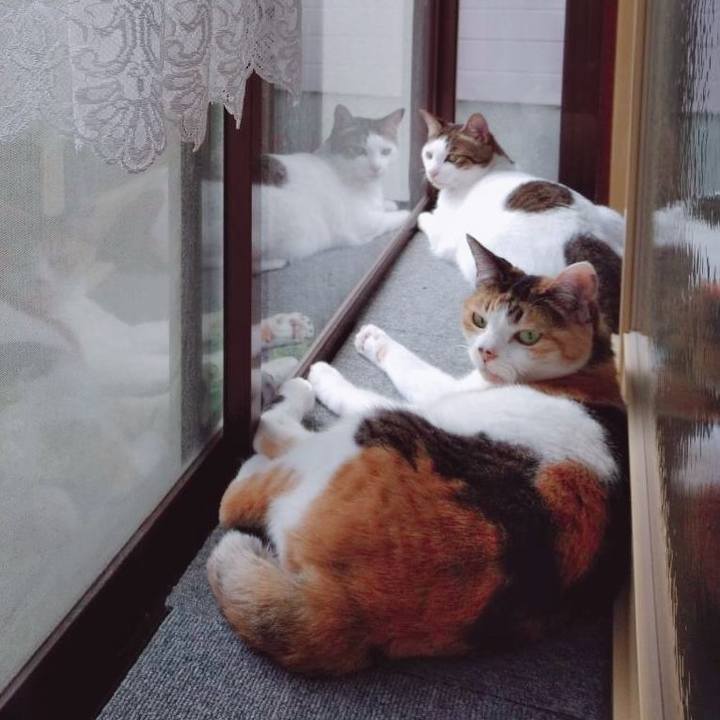 7092dd03 90f0 47ab 8f60 55730fef419e 1686701652391