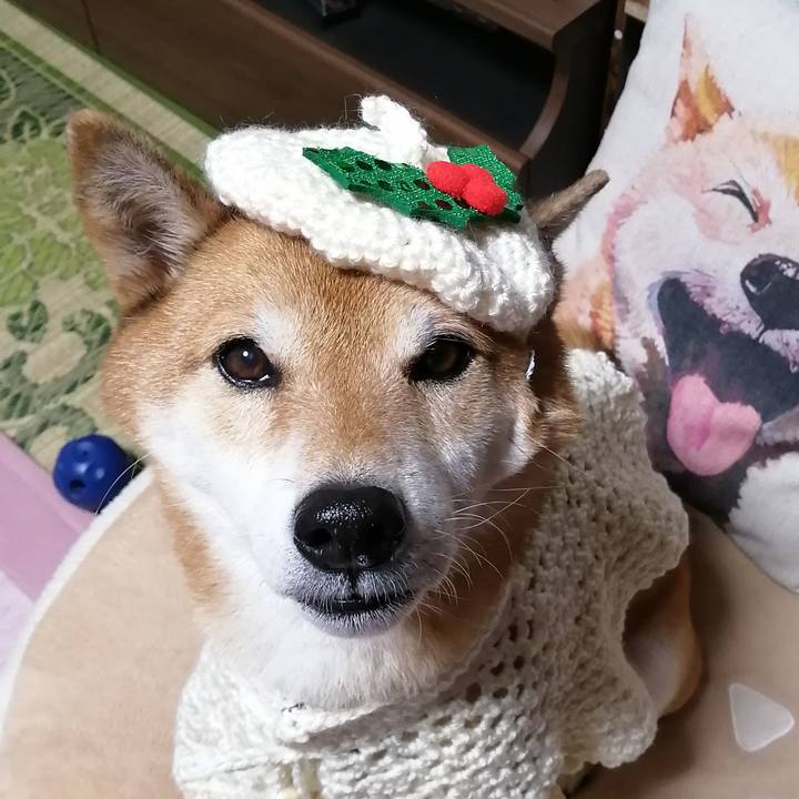 7092e385 c1a0 4fd3 9dc9 26839b270428 1669891448089