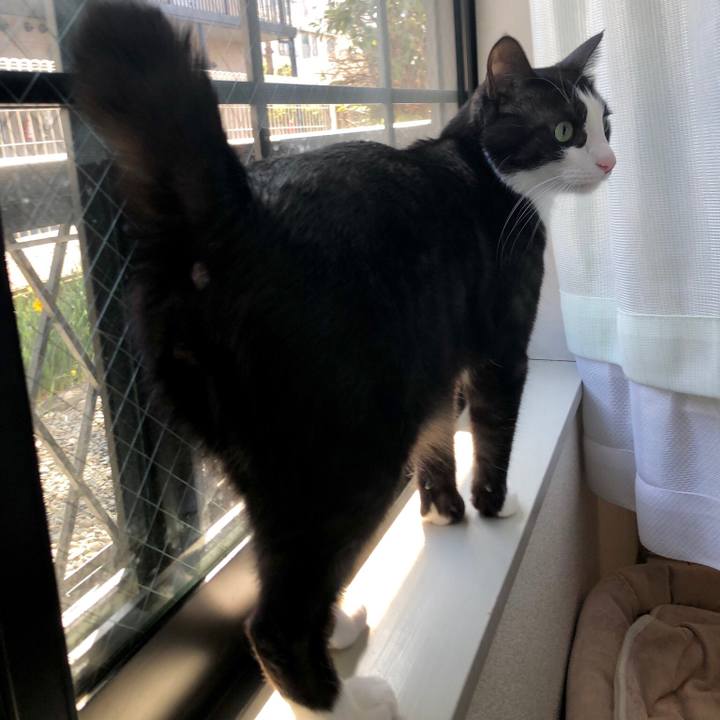 70930eda e558 4005 8620 6d803125edc6 1552106552001