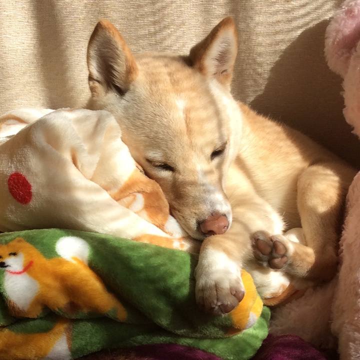 709312b6 5052 4fb4 b026 2491880503d9 1514171636923