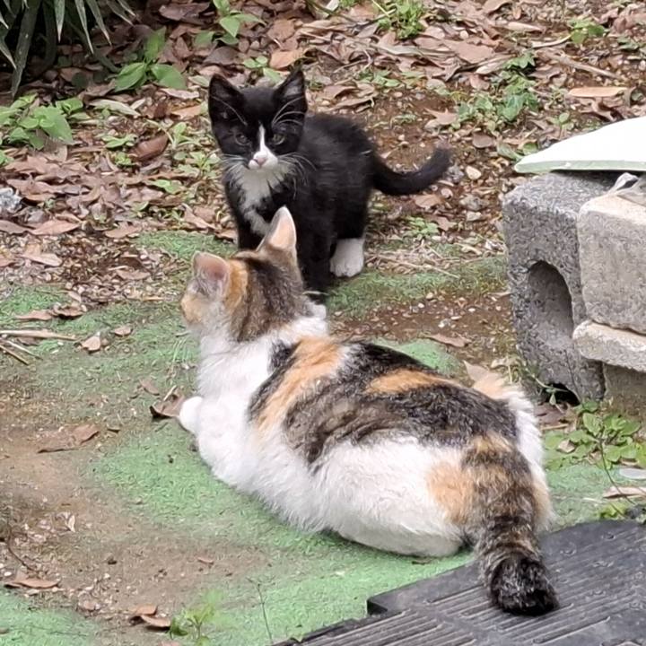 709336f5 f18b 4758 a72b 32a2970d56fb 1749792382401