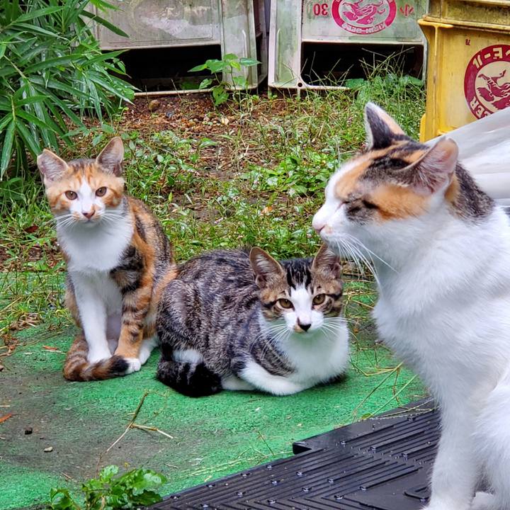 70933d85 02f3 4610 8c7d 20df306f6d85 1728031217863