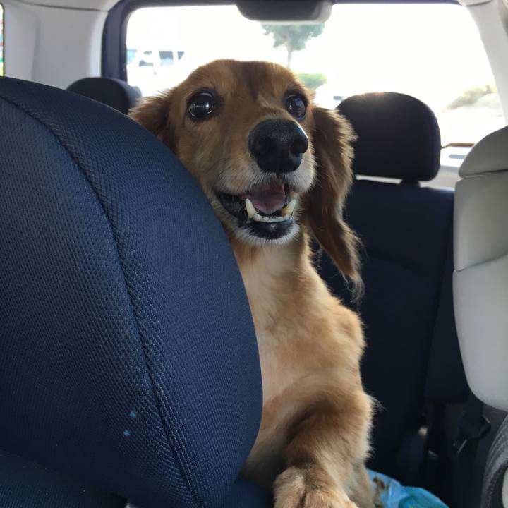 7093d918 4c73 46cd bebc f835b345d60d 1533908577987