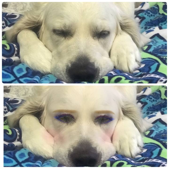 7093e4e6 4168 43f1 aeff f35b6a63e33a 1538858400834