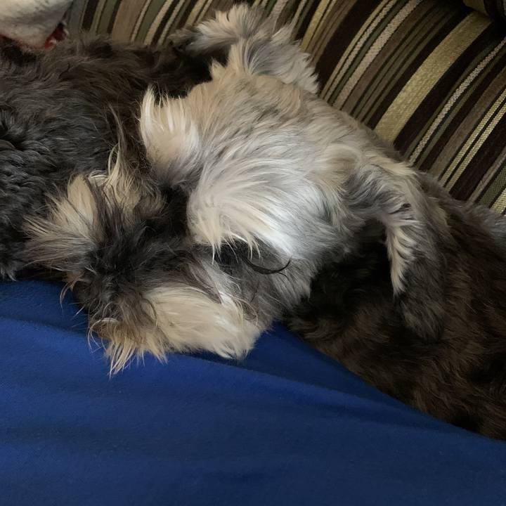 70941885 5d44 4aa6 83e6 e2e2f50cf218 1588895639540