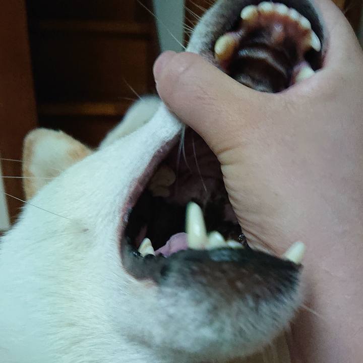 70945460 d998 487a 978c 67f44d768a4b 1557316142150