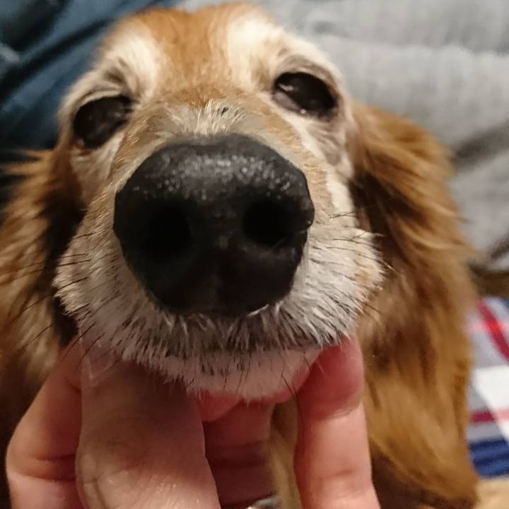 70948155 959a 452a a130 fd07d5923488 1518260588546