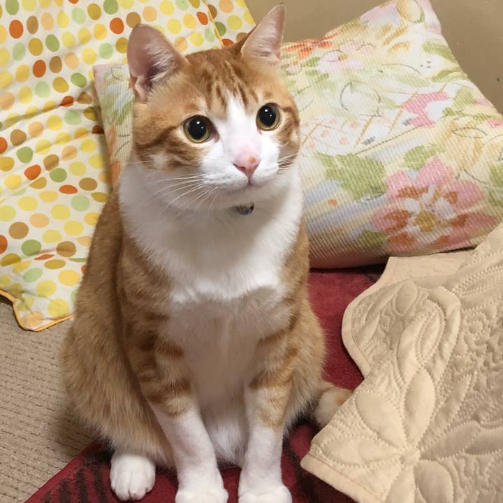 709481fa 38eb 4479 b350 dce85c78a2bb 1511392723648