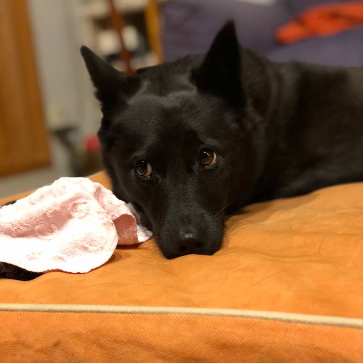 70949c5b bf51 4e87 b21d f9b4800af198 1540989603975