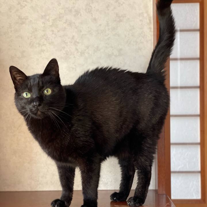 7094a93e 917c 48b0 a418 760c2de95799 1651975950694