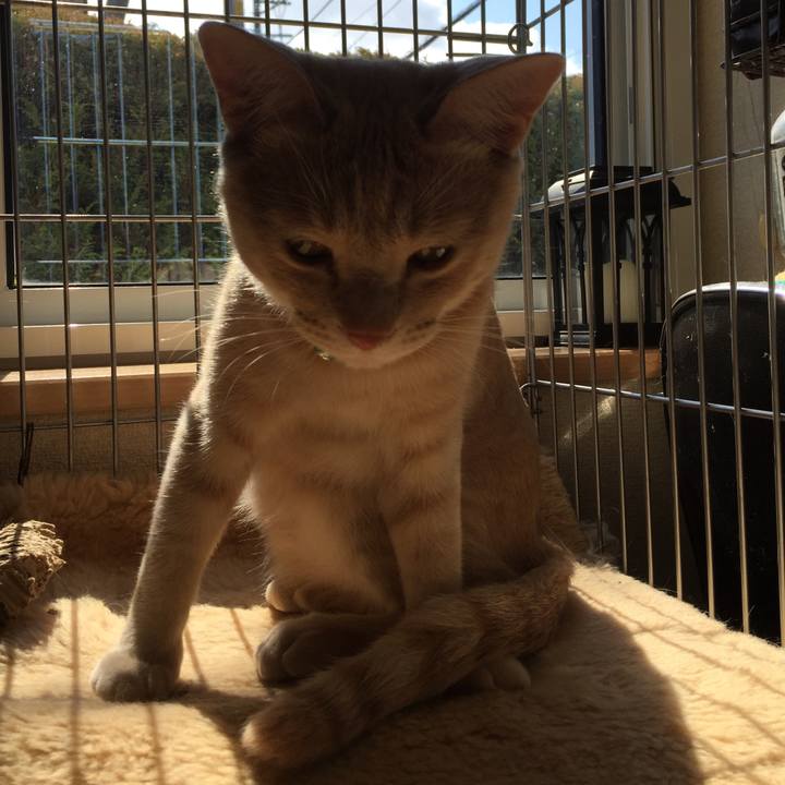 7094aaef 059d 4c9e 967e c7c4eb63cbd4 1555908721163