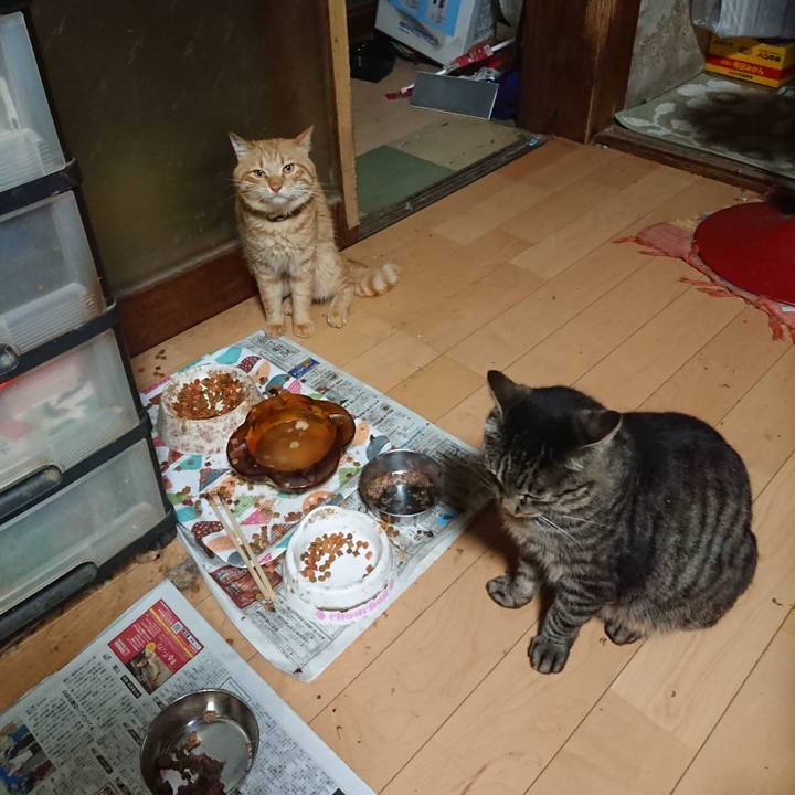 7094afe9 02b3 40df 96a0 4057d34cf963 1656502188179