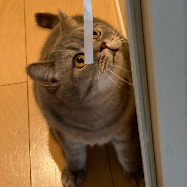 7094bd40 6cf0 4c71 80cb a7fbe38fbc96 1774848238505