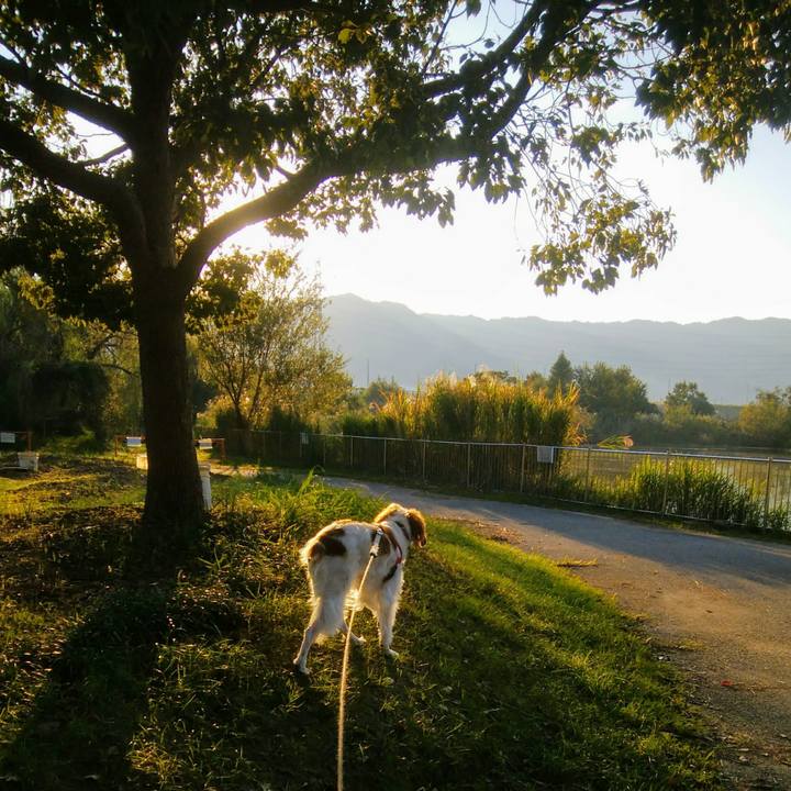 7094c500 0255 4f6a 957b 2fe9b569a6ba 1539734601698