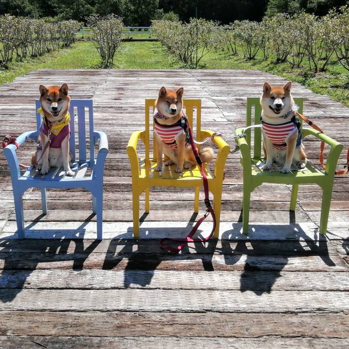 7094f2fe 67db 4f5b a25f 300fabf84766 1632060529484