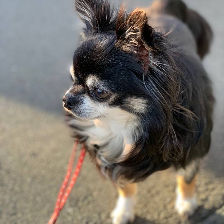 7094f552 1fd4 41f2 894c 67e8f835ed9e 1559124200878